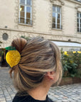 Hair Clip from Solar Eclipse