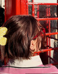 Hair Clip from Solar Eclipse