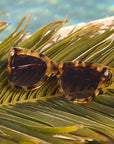 DIFF x The White Lotus "Hawaii" Sunglasses