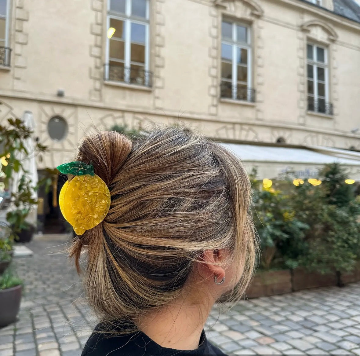Hair Clip from Solar Eclipse