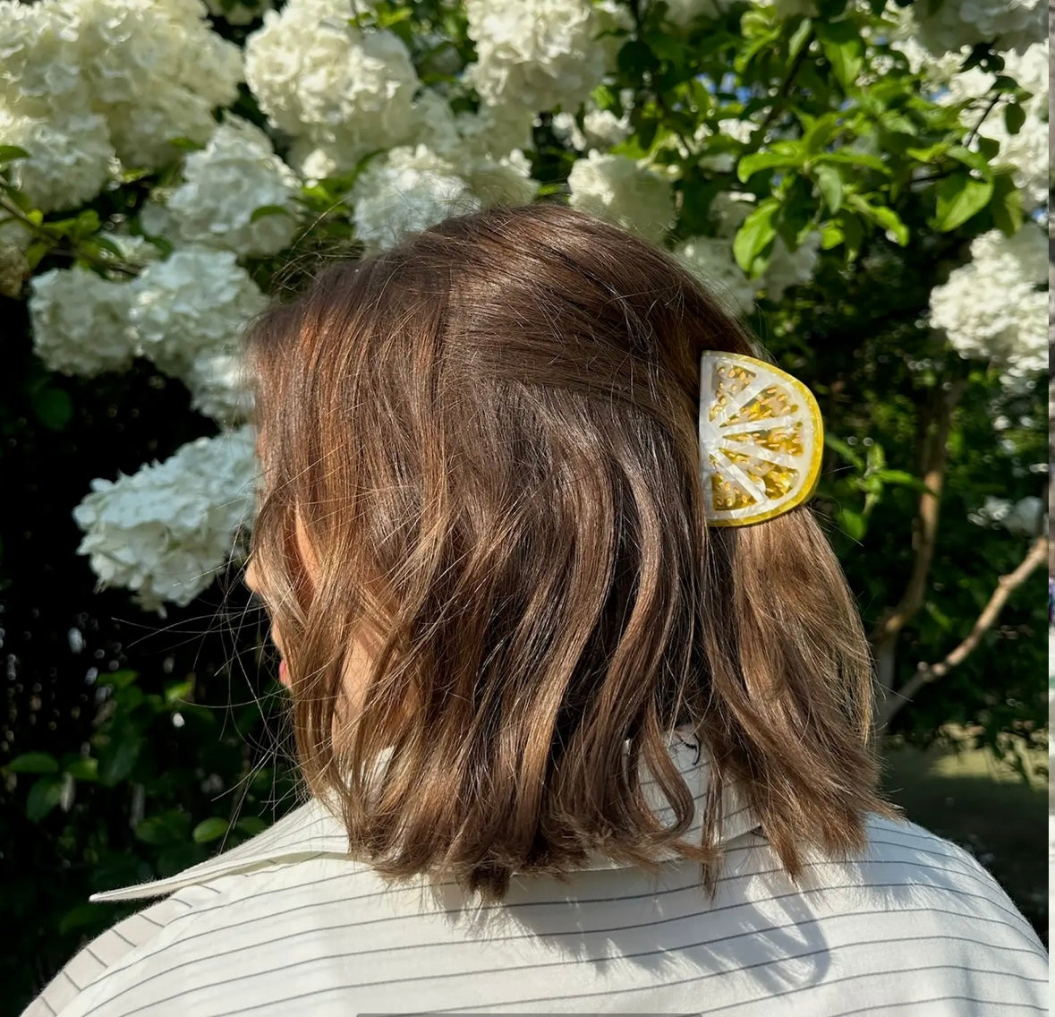 Hair Clip from Solar Eclipse