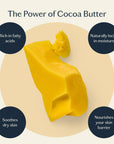 The Bug Balm | All-Natural Insect Repellent