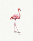 Pink Flamingo Miniature Watercolor Painting - Art Print