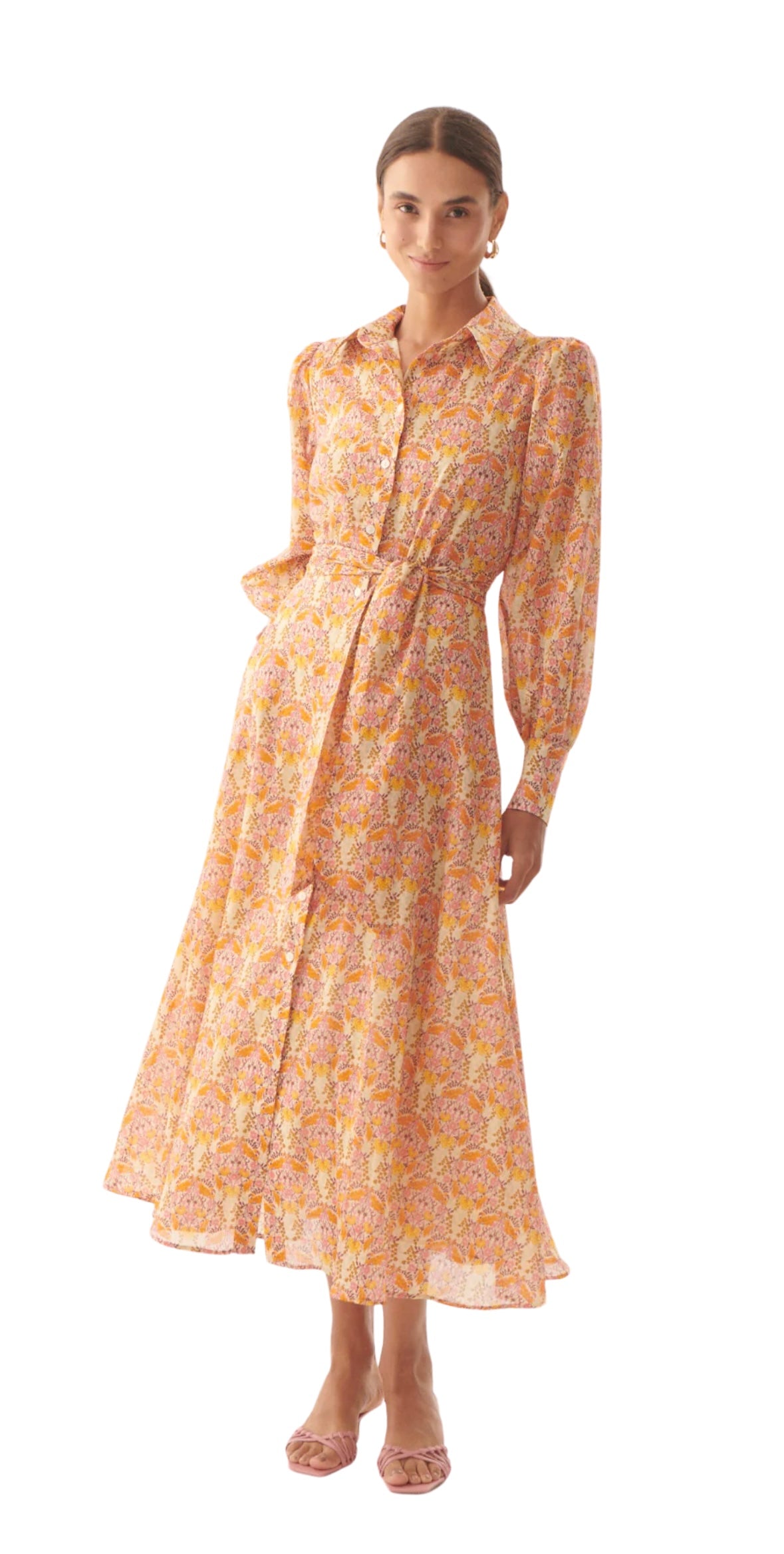 Collection Image