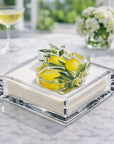 Acrylic Napkin Weight