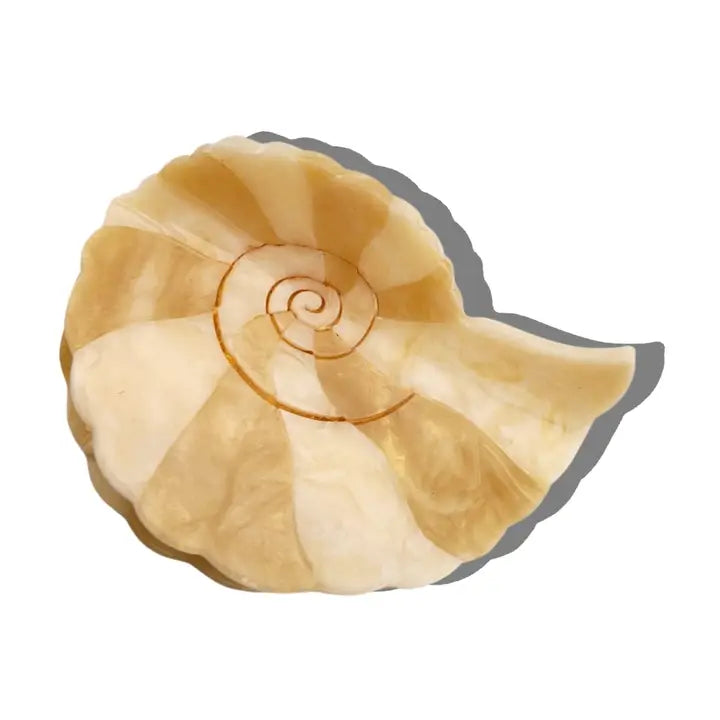 Hand-Painted Spiral Shell Claw Hair Clip